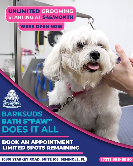 Expanding Pet Wellness Through Grooming in Seminole